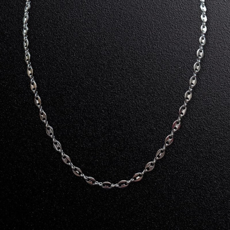 Stainless Steel Chain