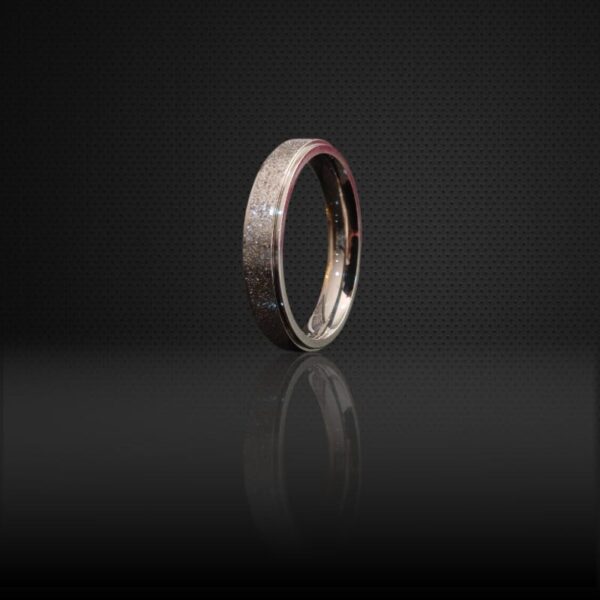 Stainless Steel Ring