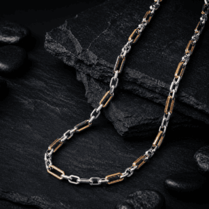 Stainless Steel Chain