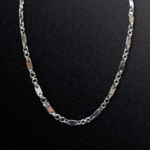Stainless Steel Chain