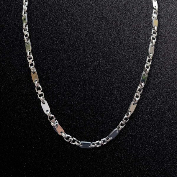 Stainless Steel Chain